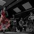 Cati López - Cours de flamenco (danse) - Image 5