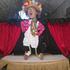 Mr STROMBOLO - Marionnettes et Cabaret Ambulant - Image 3