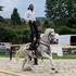 Arion Horse Show - Tournois de Chevalerie & Spectacles Équestre - Image 2
