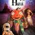 Niko et ses Puppets - des comédies magiques avec marionnettes et illusions - Image 6