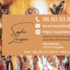 Sophie Lecesne - Artiste peintre  - Image 2