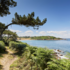 Stage aquarelle Baie de Morlaix - Image 2