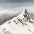 Timotei - Cours de Peinture - Dessin - Image 4