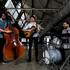 One Trio Orchestra - Trio Multi-Styles - Image 7