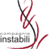 Cie Instabili - Danse contemporaine