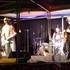 Sam Willcox Blues Band - Pour vos concerts lives  - Image 5