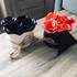 Latelier creat - Atelier creatif  - Image 2