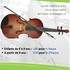 Magali - Cours de violon
