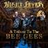 Night Fever - A tribute to The Bee Gees