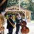 Sunny Side - Groupe de musique / Fanfare Rock, Blues, Chanson Française - Image 6