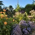 Rendez-vous au jardin : Jardin d'artiste