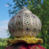 Cie Dreamlighters - Parade orientale - Image 5
