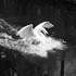 AUDE CROMBE-DELECLUSE photographies