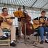 Mike Grenier  - Musicien / Guitariste  Jazz Manouche  - Image 3