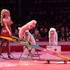ANTHONY SHOW - Spectacle de Cirque en Salle avec Animaux - Image 8