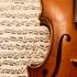 Estelle - Cours particuliers de violon et de formation musicale - Image 2