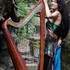 LAWENA de Brocéliande - CONCERTS et ALBUMS - Image 2