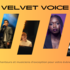 Velvet Voice - Collectif de chanteurs TheVoice