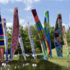 Biennale du vent - Initiations aux techniques du vent