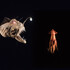 20000 lieues sous les mers