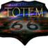 TOTEM - Trio New Country Pop Amméricaine