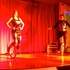 ANTHONY SHOW - Spectacle de Cirque en Salle avec Animaux - Image 9