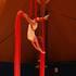 LES AKOUPHENES - Spectacle multidisciplinaire féminin : Musique/Danse/Cirque  - Image 8