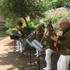 Withe Beans Jazz Quartet - Groupe Swing - Image 4