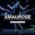 Compagnie Art'Etres - Amaurose 