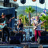 Groupe Mike Pachelli - Blues, 60's Rock, Originals & Jazz