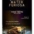 Stabat Mater Furiosa