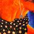 VIRGINIE ROUSSEL Artiste Peintre - Image 3