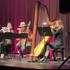 HarpiStick trio - Concert, Evènementiel, Animation - Image 10