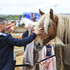 Fête du Cheval à l'Hippodrome Paris-Vincennes - Image 3