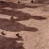 Une partie de pétanque