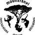 Asso MOUNAFANYI - cours de danses et percussions Africaines