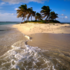 Eric Thomarat - Chansons créoles et des Antilles  - Image 2