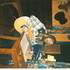 Animations musicales  - Image 2