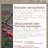 Sorties nature - Balades sensorielles / Découvertes plantes sauvages