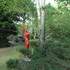 Jardin des Métamorphozes - Image 3