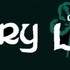 Derry Liam Musique Irlandaise  - Musique Irlandaise - Saint Patrick - Image 4