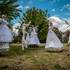 CIRKOMCHA - Compagnie  - Image 8