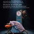 Cendrillon, 40 ans plus tard