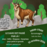 Sur les traces du Dahu !
