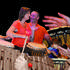 Benoit Van Parys - Ateliers musicaux, éveil musical et percussions  - Image 2