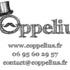 Cie Coppelius - Spectacles musicaux marionnettes, danse, théâtre d'ombres - Image 8