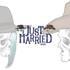 Just Married Band - Duo Pop/Folk - Image 2