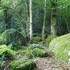 Parc des Parelles