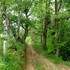 Sentier de découverte du Laring