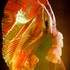 CAMILLE ALEXANDRE - Animation-Spectacle Magie, Chant, Revue, Cabaret - Image 19